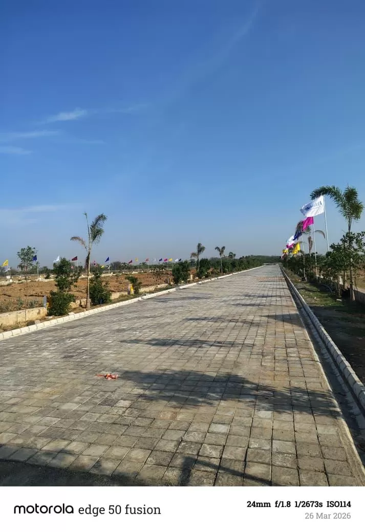 View 2